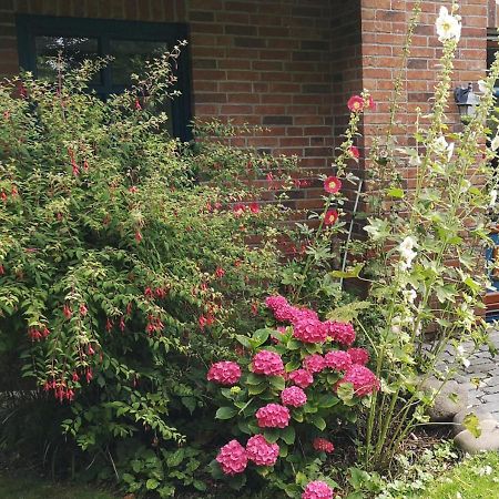 Ferienhaus Arkona Putgarten Eksteriør billede